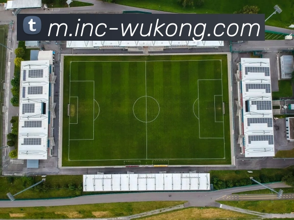奖项证书